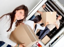 Kwikfynd Business Removals
thepatch